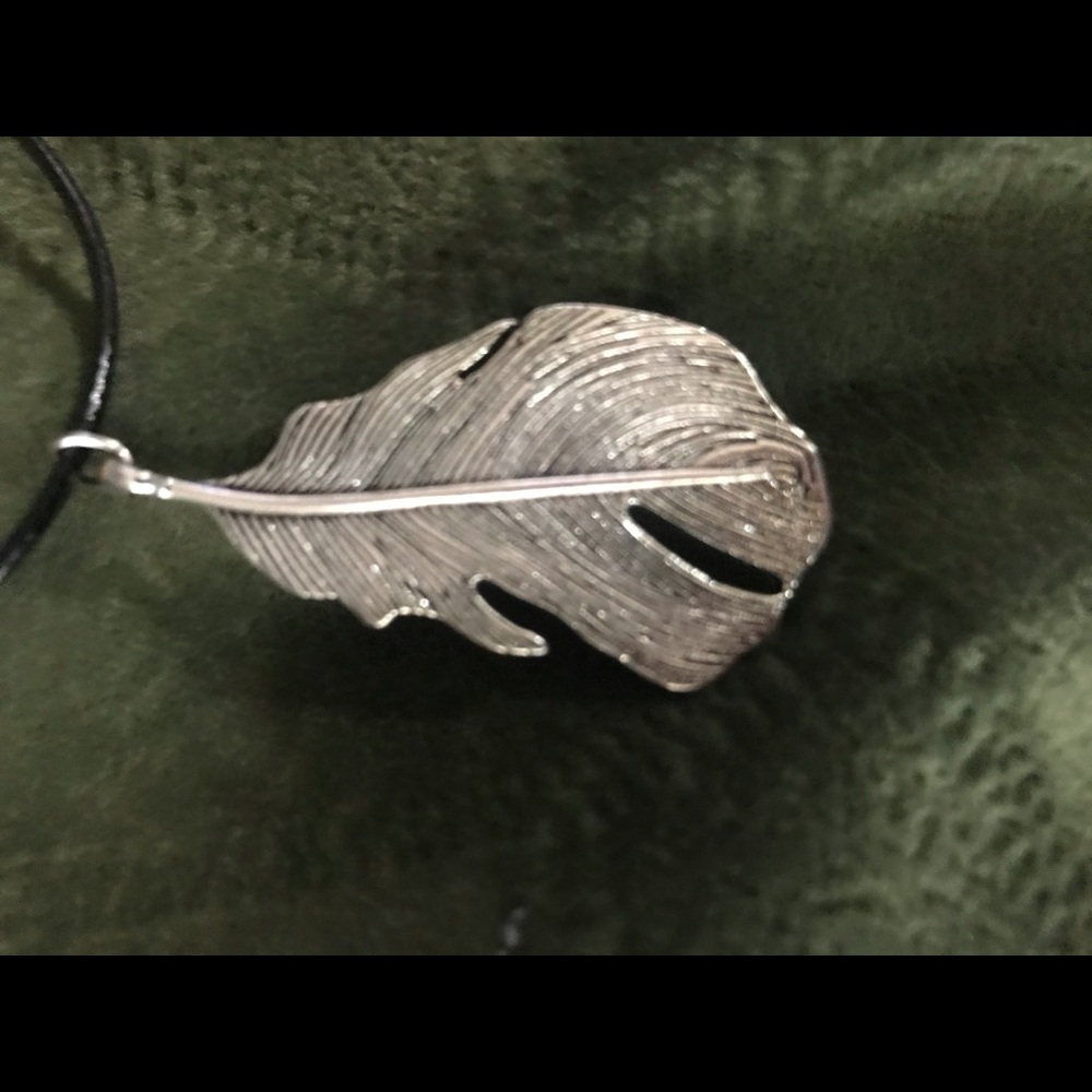 1 silver colored metal feather necklace